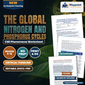 The Global Nitrogen and Phosphorus Cycles: Rhizobial Nitrogenase Fixation, Nitrification Kinetics, and Sedimentary Phosphate Weathering CER Phenomena Worksheet cover