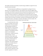 Thermodynamic Constraints on Trophic Pyramids Reading Worksheet sample page