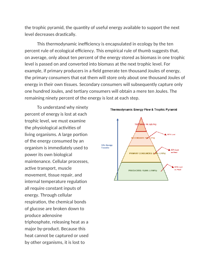Thermodynamic Constraints on Trophic Pyramids Reading Worksheet sample page