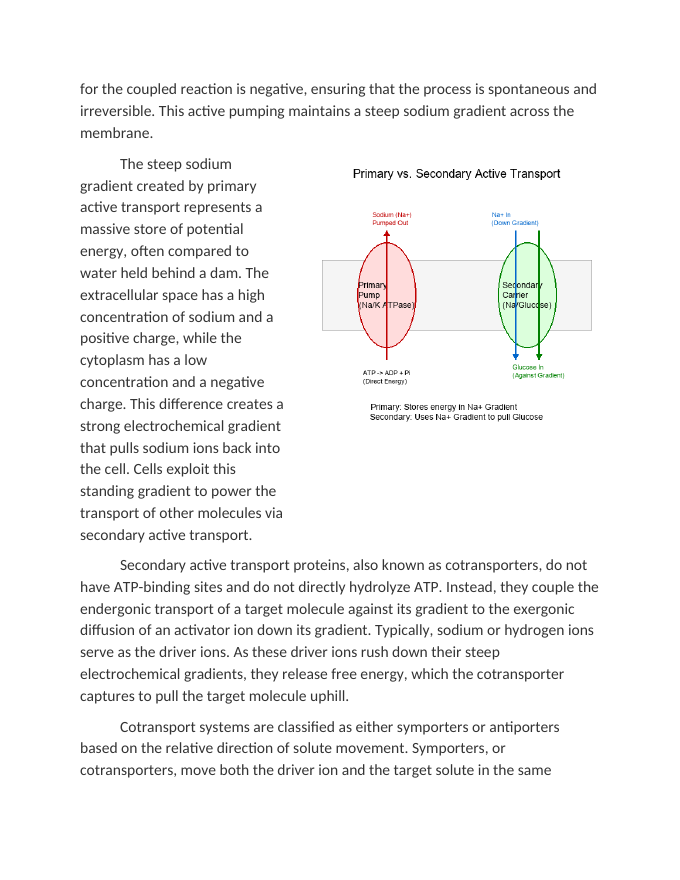 Thermodynamics of Primary vs Secondary Active Transport Reading Worksheet sample page