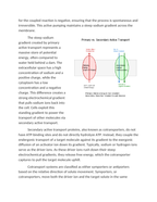 Thermodynamics of Primary vs Secondary Active Transport Reading Worksheet sample page