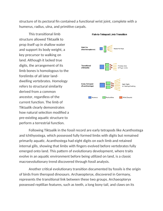 Transitional Fossils and Macroevolutionary Trends Reading Worksheet sample page