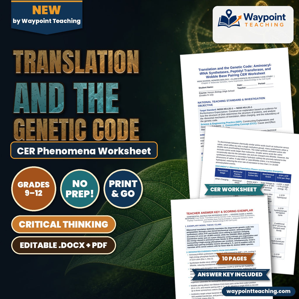 Translation and the Genetic Code: Aminoacyl-tRNA Synthetases, Peptidyl Transferase, and Wobble Base Pairing CER Phenomena Worksheet cover
