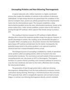 Uncoupling Proteins and Non-Shivering Thermogenesis Reading Worksheet sample page