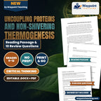 Uncoupling Proteins and Non-Shivering Thermogenesis Reading Worksheet cover