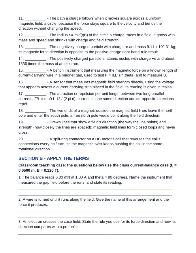 Magnetic Fields & Forces Fill-in-the-Blank Vocabulary Worksheet sample page