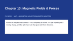Magnetic Fields & Forces Slide Show Presentation sample page