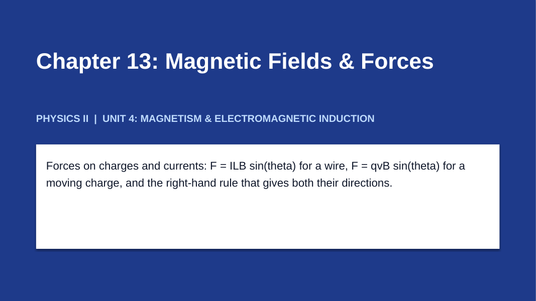 Magnetic Fields & Forces Slide Show Presentation sample page