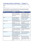 Multi-Loop Circuit Analysis Vocabulary Words & Definitions sample page