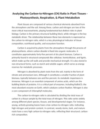 Analyzing the Carbon-to-Nitrogen (CN) Ratio in Plant Tissues Reading Worksheet sample page