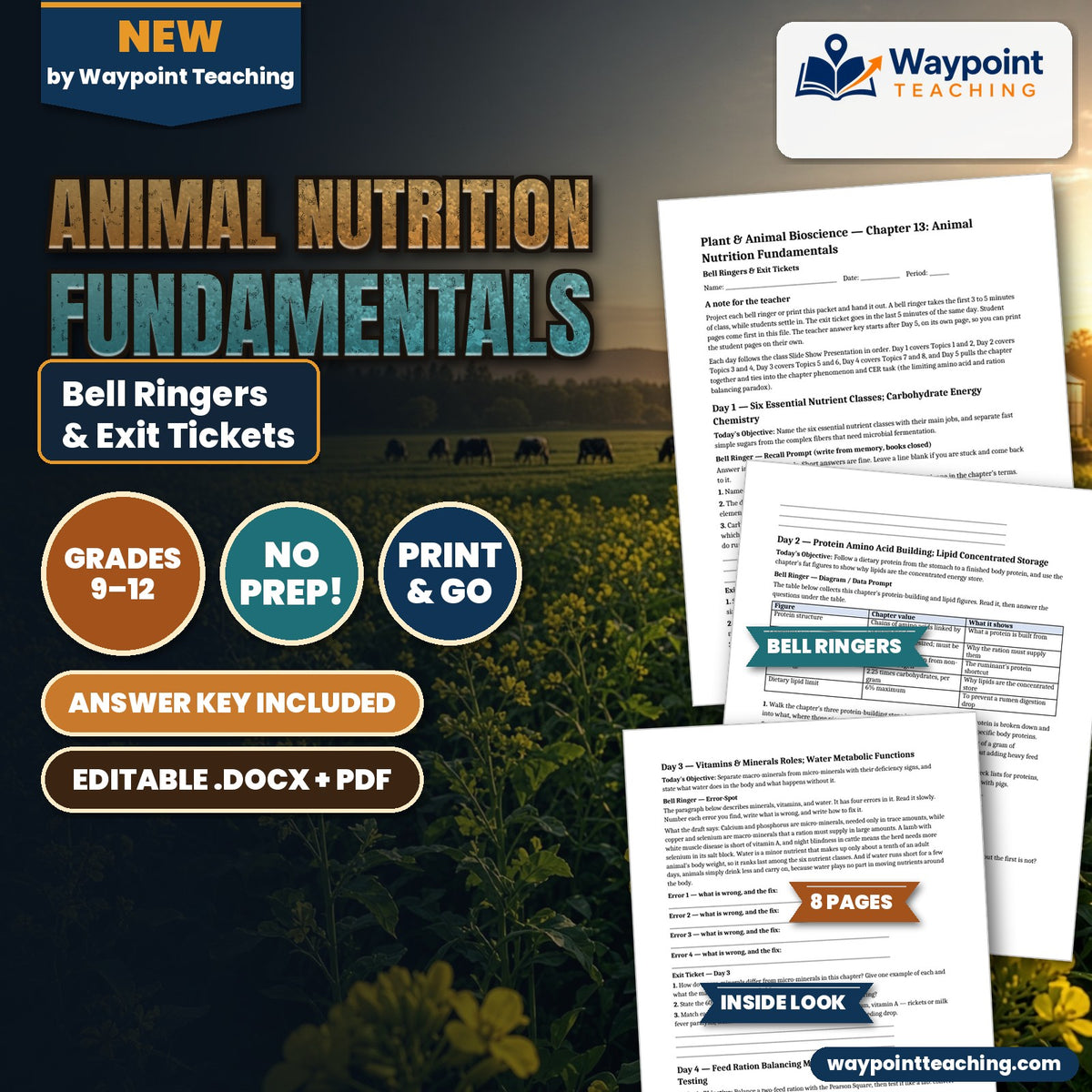 Animal Nutrition Fundamentals Bell Ringers & Exit Tickets cover