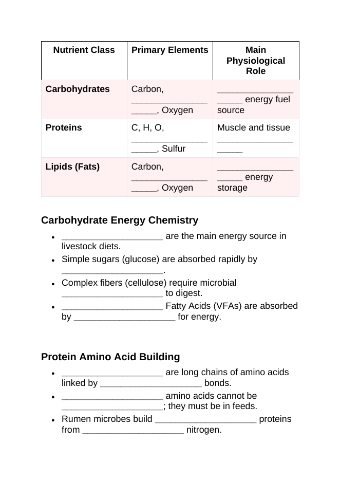 Animal Nutrition Fundamentals Guided Notes sample page