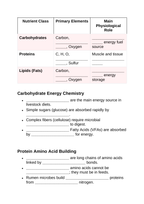 Animal Nutrition Fundamentals Guided Notes sample page