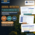 Animal Nutrition Fundamentals Phenomena-Based Lesson: The Limiting Amino Acid and Ration Balancing Paradox Presentation cover