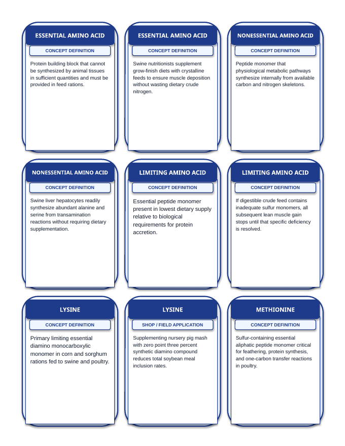 Animal Nutrition Fundamentals Tic-Tac-Toe Review Game sample page