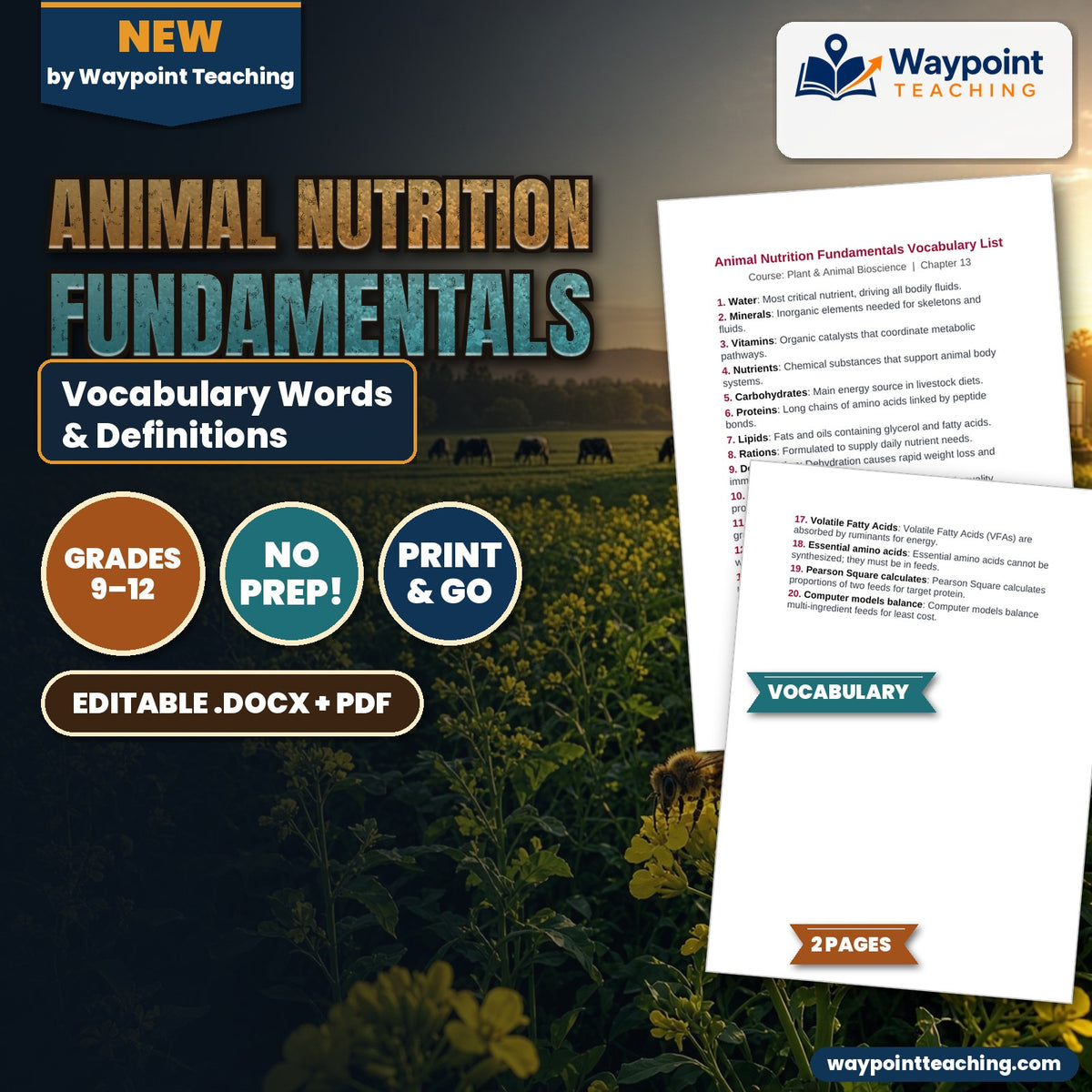 Animal Nutrition Fundamentals Vocabulary Words & Definitions cover