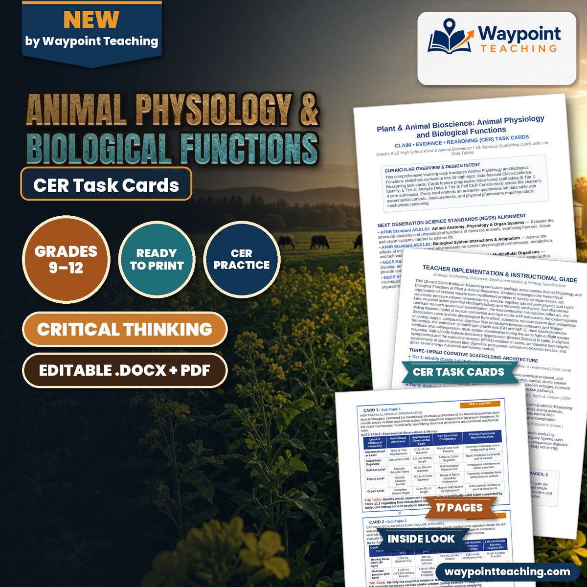 Animal Physiology & Biological Functions CER Task Cards cover