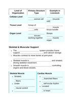 Animal Physiology & Biological Functions Guided Notes sample page