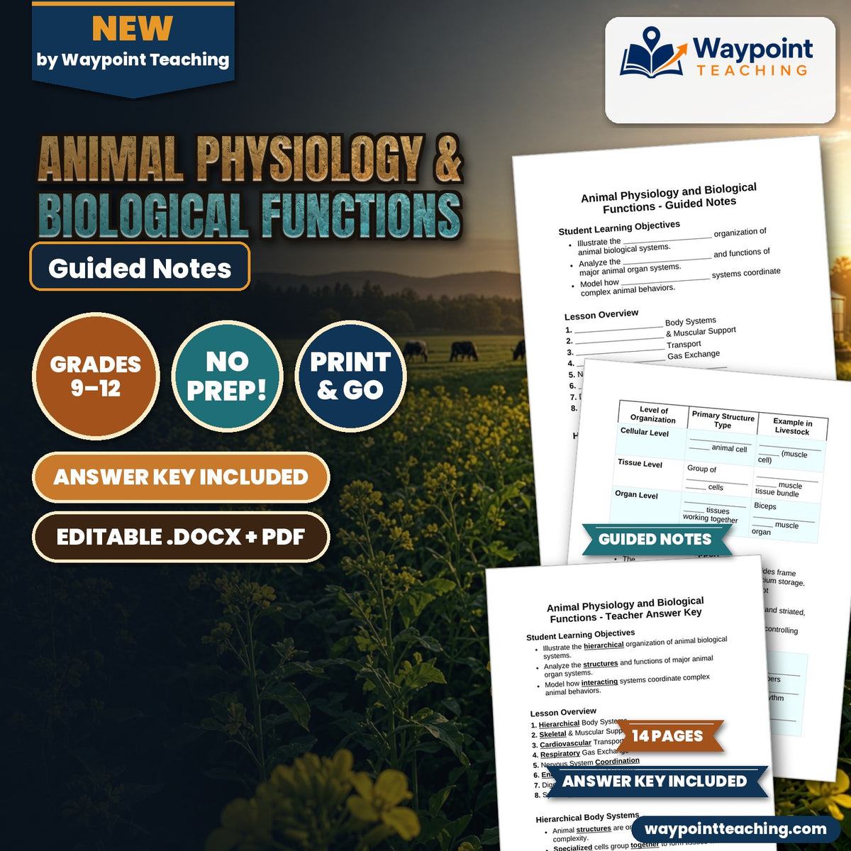 Animal Physiology & Biological Functions Guided Notes cover