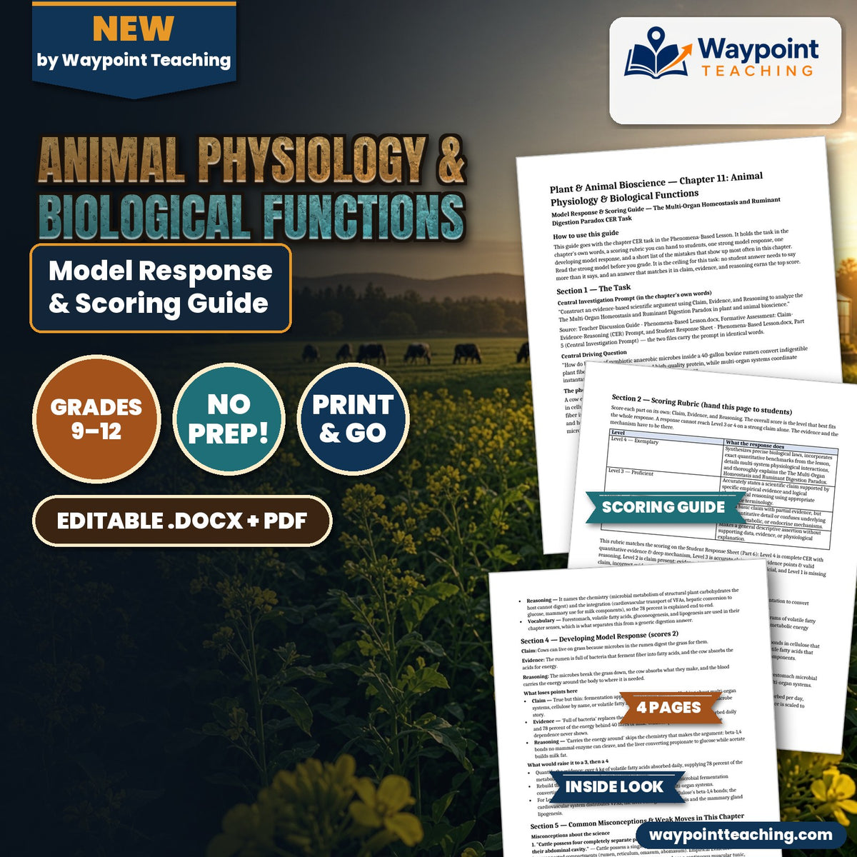 Animal Physiology & Biological Functions Model Response & Scoring Guide cover