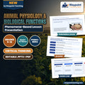 Animal Physiology & Biological Functions Phenomena-Based Lesson: The Multi-Organ Homeostasis and Ruminant Digestion Paradox Presentation cover