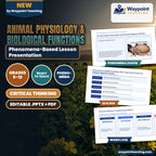 Animal Physiology & Biological Functions Phenomena-Based Lesson: The Multi-Organ Homeostasis and Ruminant Digestion Paradox Presentation cover