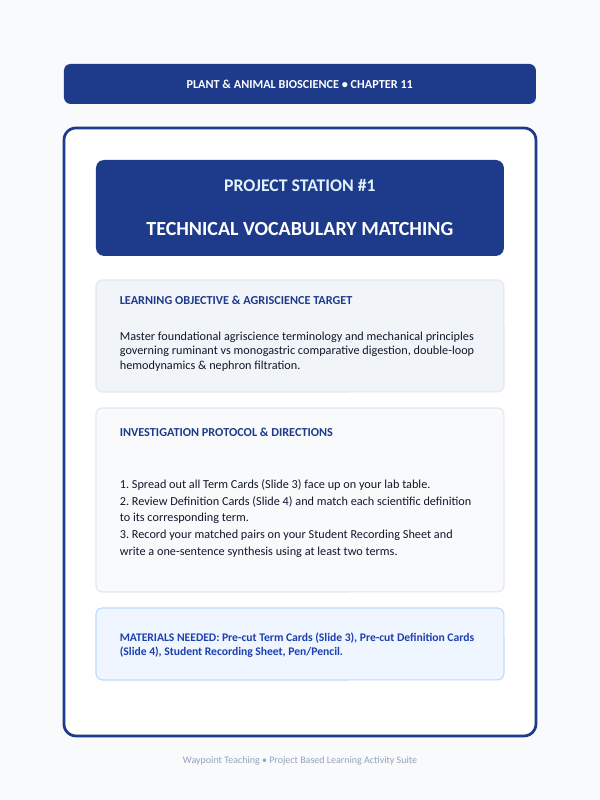 Animal Physiology & Biological Functions Project-Based Learning Activity sample page