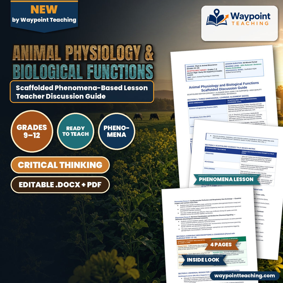 Animal Physiology & Biological Functions Scaffolded Phenomena-Based Lesson: The Multi-Organ Homeostasis and Ruminant Digestion Paradox Teacher Discussion Guide cover