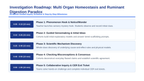 Animal Physiology & Biological Functions Scaffolded Phenomena-Based Lesson: The Multi-Organ Homeostasis and Ruminant Digestion Paradox Presentation sample page