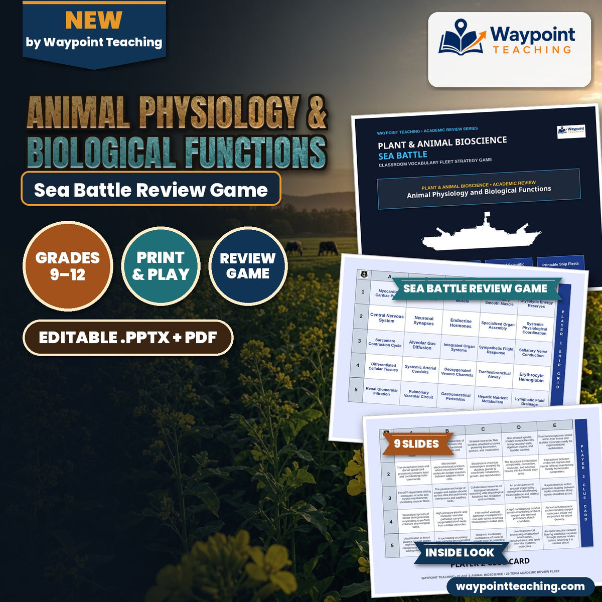 Animal Physiology & Biological Functions Sea Battle Review Game cover