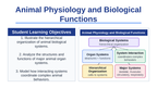Animal Physiology & Biological Functions Slide Show Presentation sample page