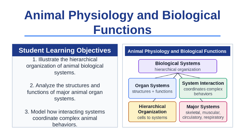 Animal Physiology & Biological Functions Slide Show Presentation sample page