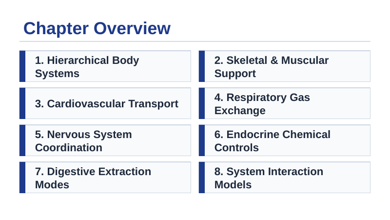 Animal Physiology & Biological Functions Slide Show Presentation sample page