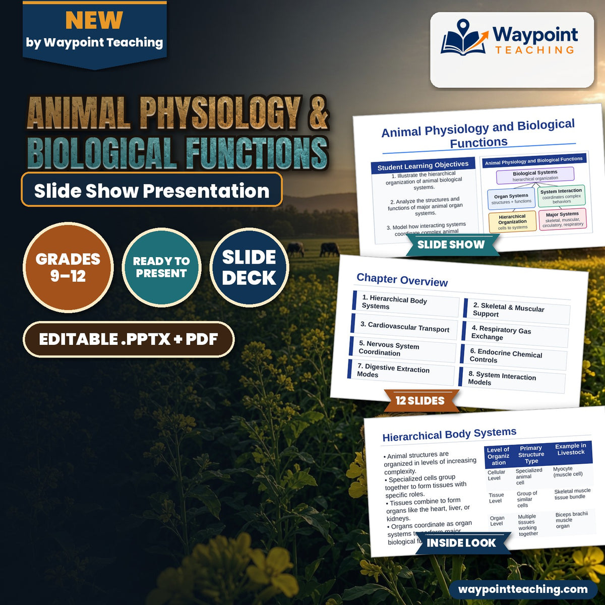 Animal Physiology & Biological Functions Slide Show Presentation cover