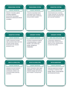 Animal Physiology & Biological Functions Tic-Tac-Toe Review Game sample page