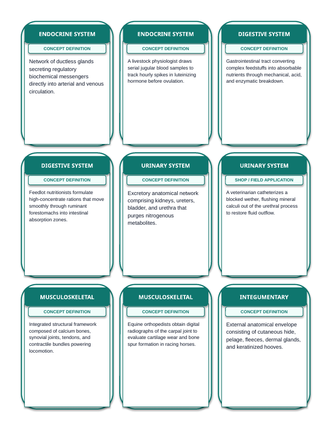 Animal Physiology & Biological Functions Tic-Tac-Toe Review Game sample page