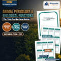 Animal Physiology & Biological Functions Tic-Tac-Toe Review Game cover