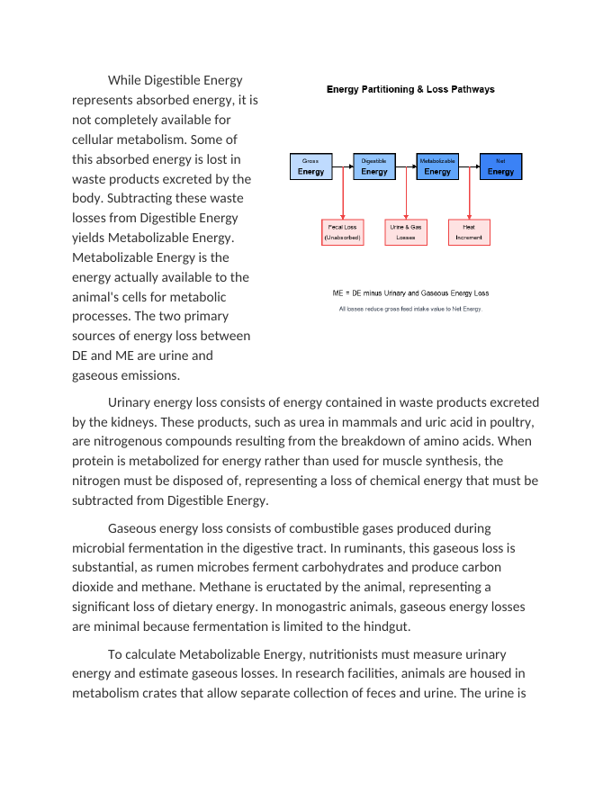 Calculating Metabolizable Energy ME from Gross Feed Intake Reading Worksheet sample page