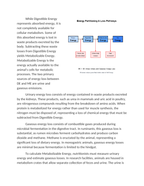 Calculating Metabolizable Energy ME from Gross Feed Intake Reading Worksheet sample page