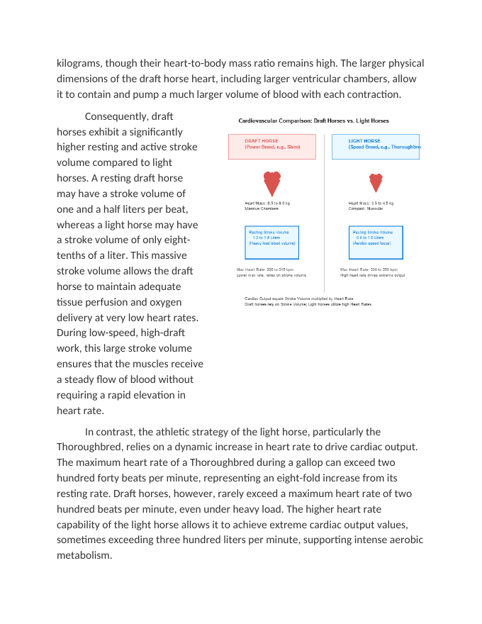 Cardiac Output Variations: Draft Horses vs. Light Horses Reading Worksheet sample page