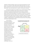 Chromosomal Mapping of Sex-Linked Genetic Disorders Reading Worksheet sample page
