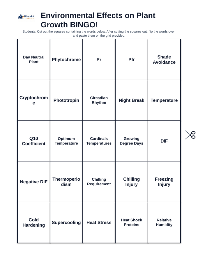 Environmental Effects on Plant Growth BINGO Review Game sample page