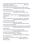Environmental Effects on Plant Growth Fill-in-the-Blank Vocabulary Worksheet sample page