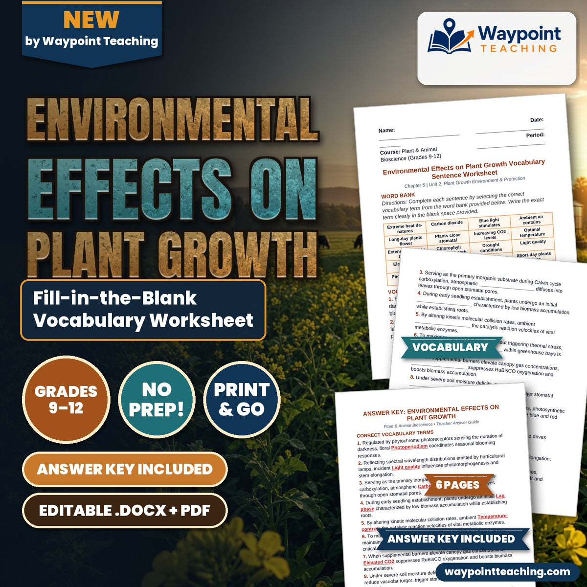 Environmental Effects on Plant Growth Fill-in-the-Blank Vocabulary Worksheet cover