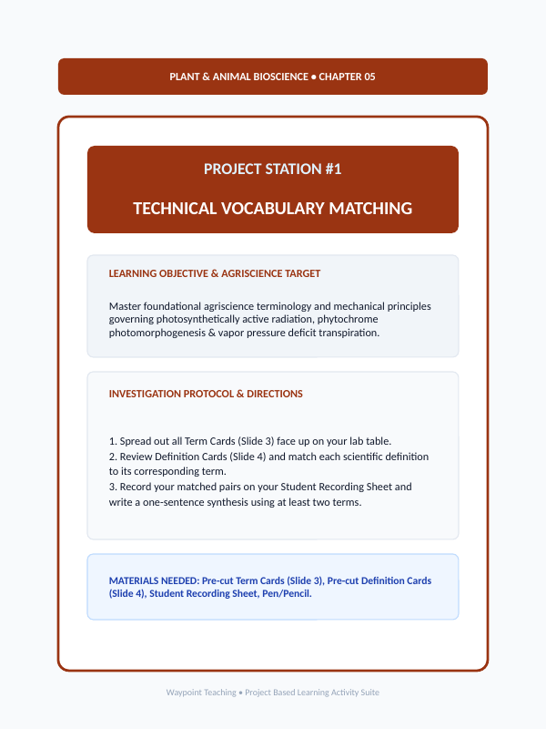 Environmental Effects on Plant Growth Project-Based Learning Activity sample page