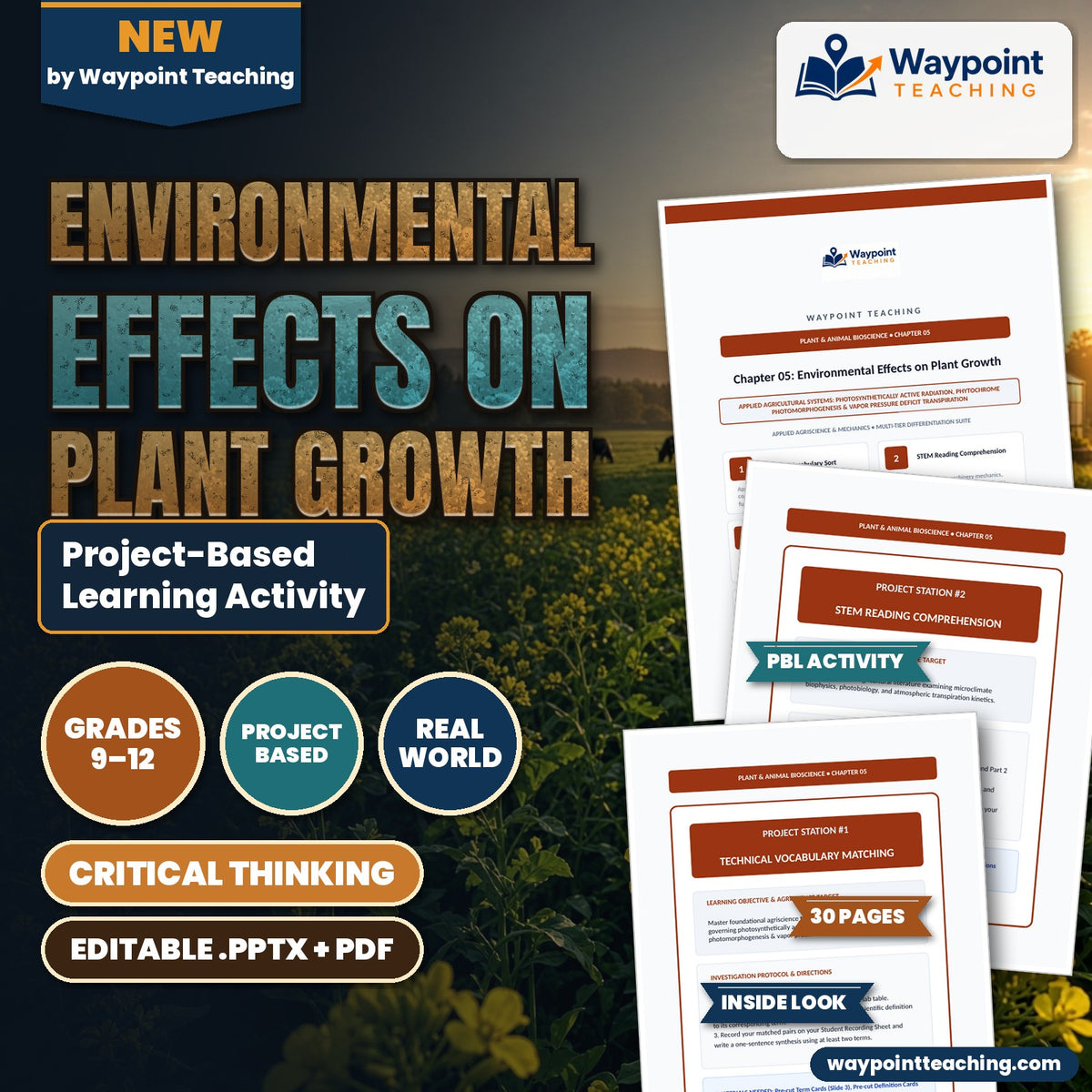 Environmental Effects on Plant Growth Project-Based Learning Activity cover