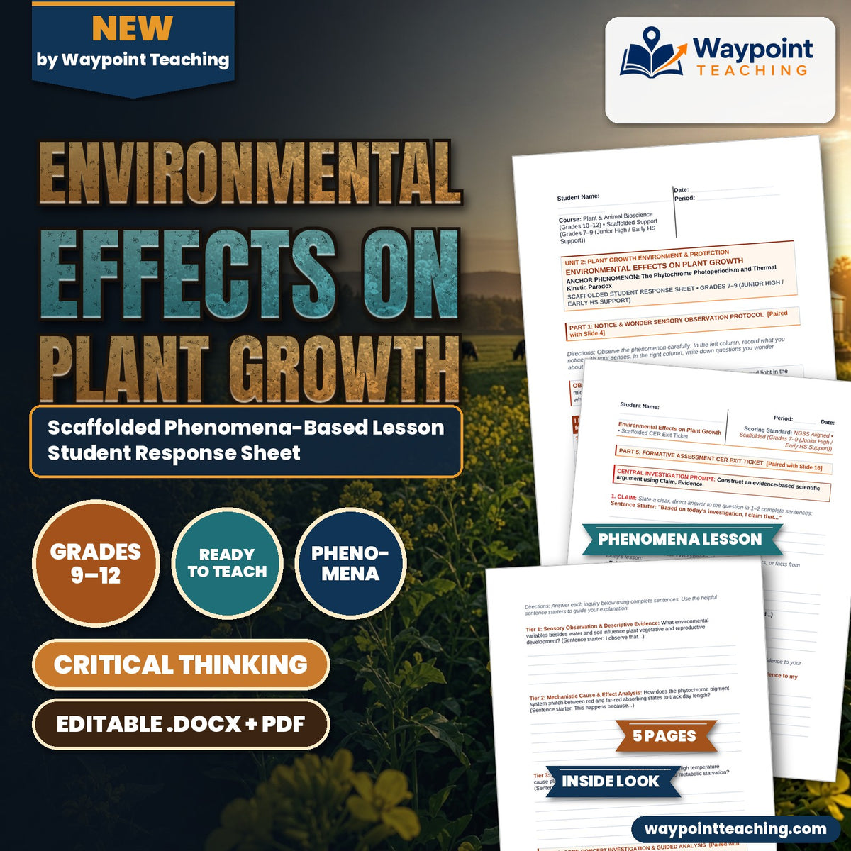 Environmental Effects on Plant Growth Scaffolded Phenomena-Based Lesson: The Phytochrome Photoperiodism and Thermal Kinetic Paradox Student Response Sheet cover