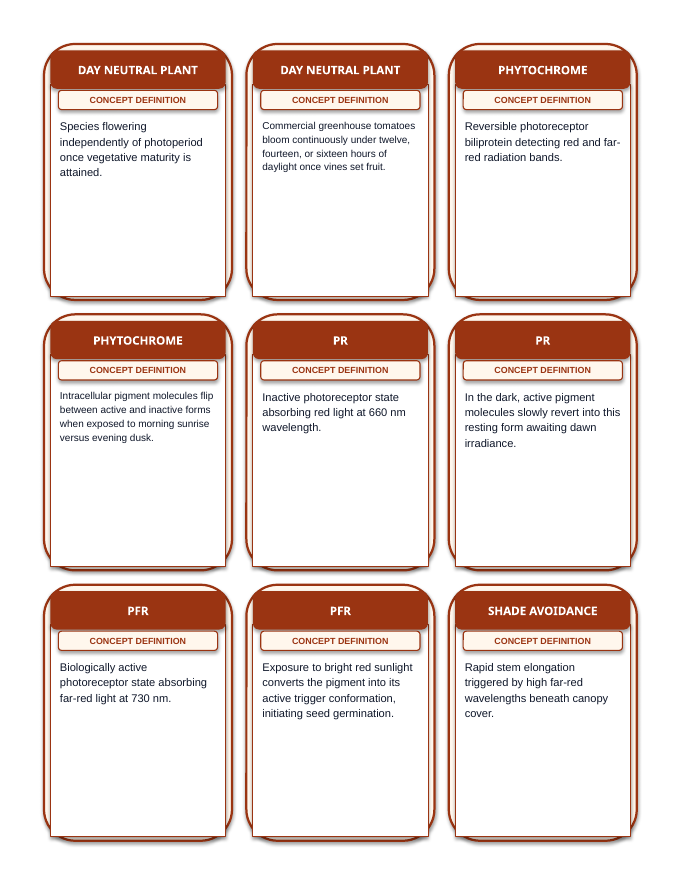 Environmental Effects on Plant Growth Tic-Tac-Toe Review Game sample page