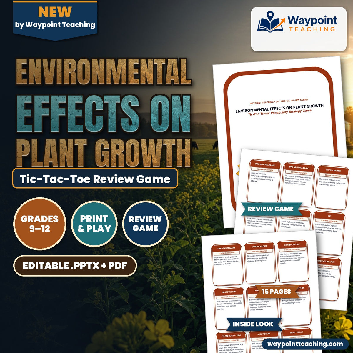 Environmental Effects on Plant Growth Tic-Tac-Toe Review Game cover