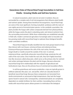 Geoscience Data of Mycorrhizal Fungi Inoculation in Soil-less Media Reading Worksheet sample page